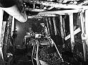 souvenirs en noir et blanc (443)